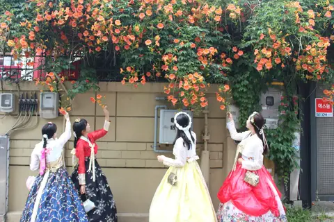 Dorothy Hanbok (도로시한복여행)